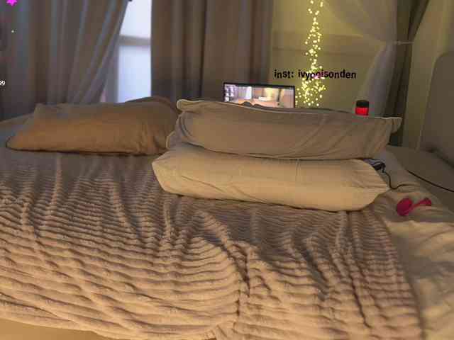 bongCinnamon webcam