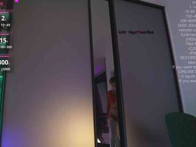 bongCinnamon webcam