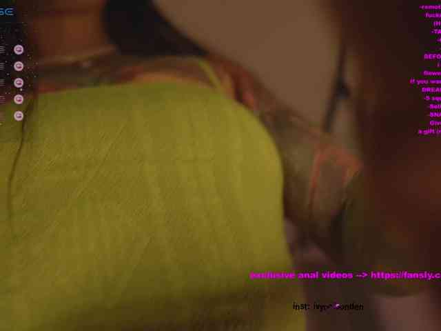 Pocahontass webcam