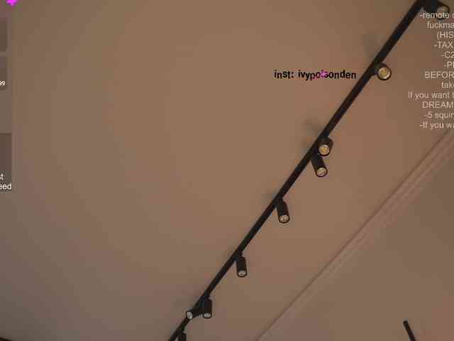 bongCinnamon webcam