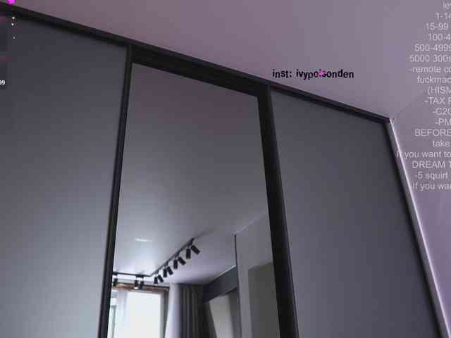 bongCinnamon webcam