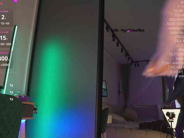 bongCinnamon webcam
