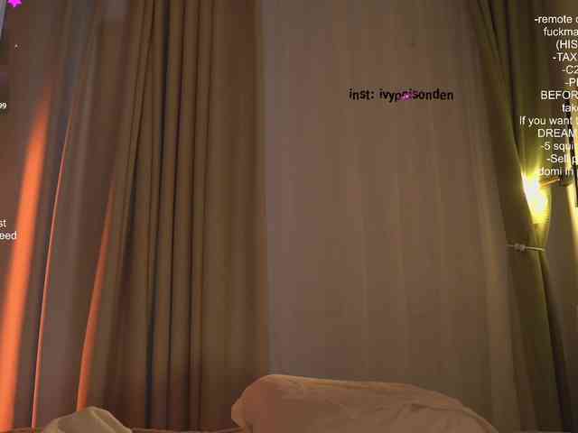 bongCinnamon webcam