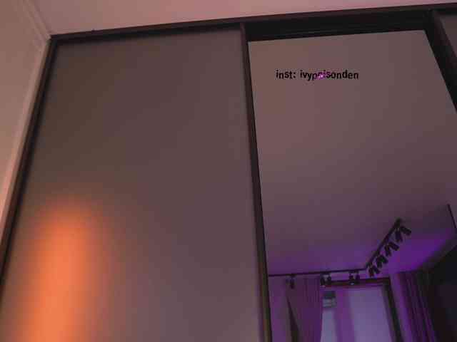 bongCinnamon webcam