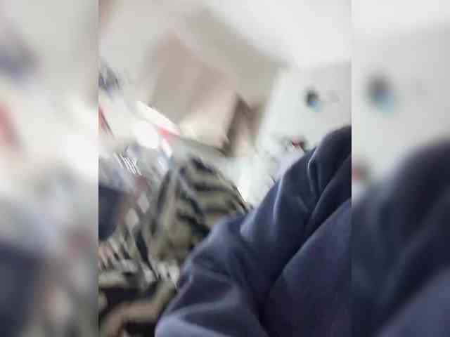 YourCocoDream YourCocoDream