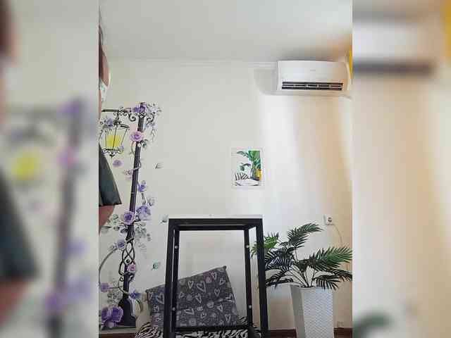 VikkyDream webcam