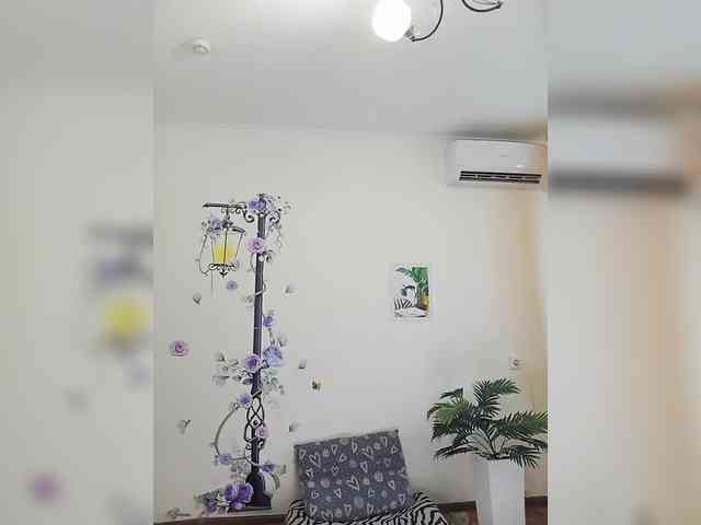 VikkyDream webcam