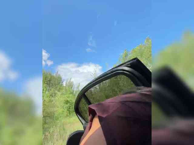 GAVKA_ webcam