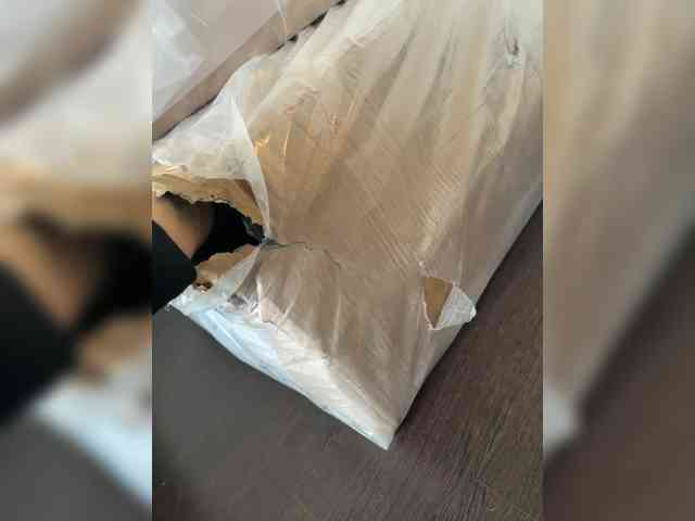 GAVKA_ webcam