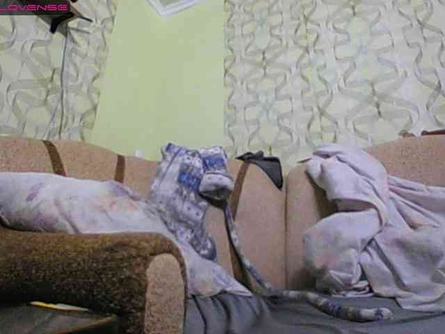Sona891 webcam
