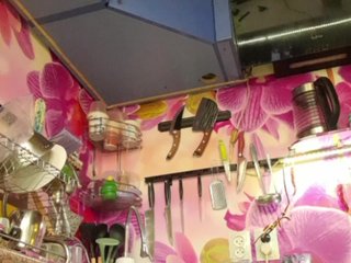 MS-86 Porn Show