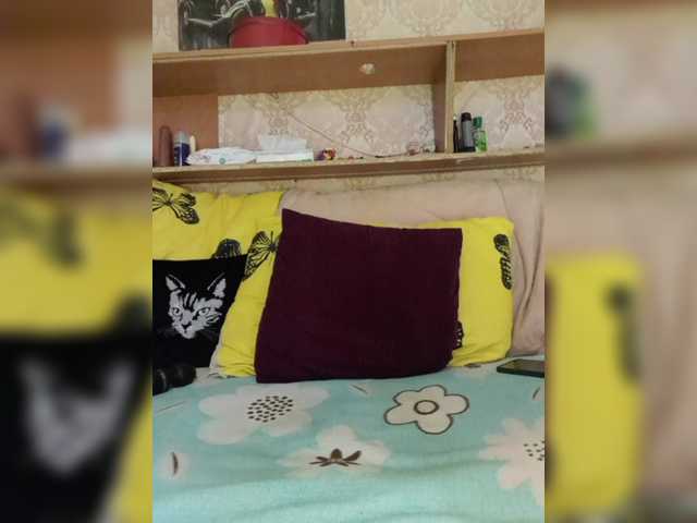 MS-86's BongaCams show and profile