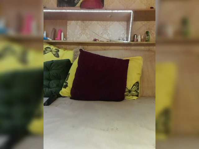 MS-86's BongaCams show and profile