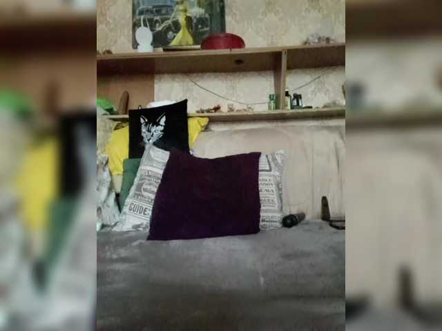 MS-86's BongaCams show and profile