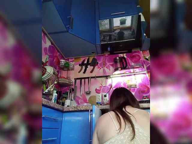 MS-86 webcam