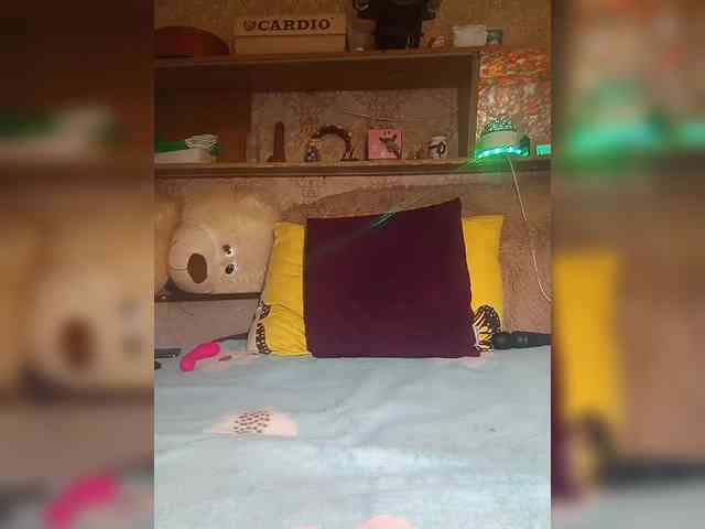 MS-86 webcam