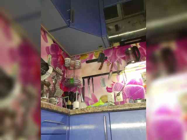 MS-86 webcam