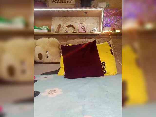 MS-86 webcam