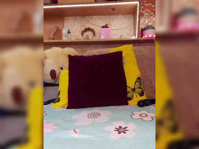MS-86 webcam