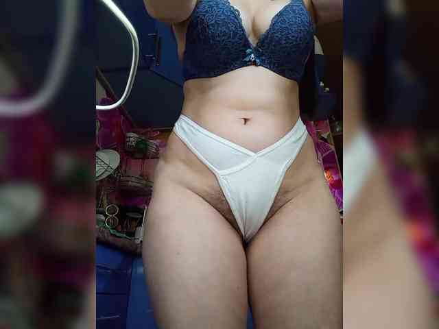 MS-86 webcam