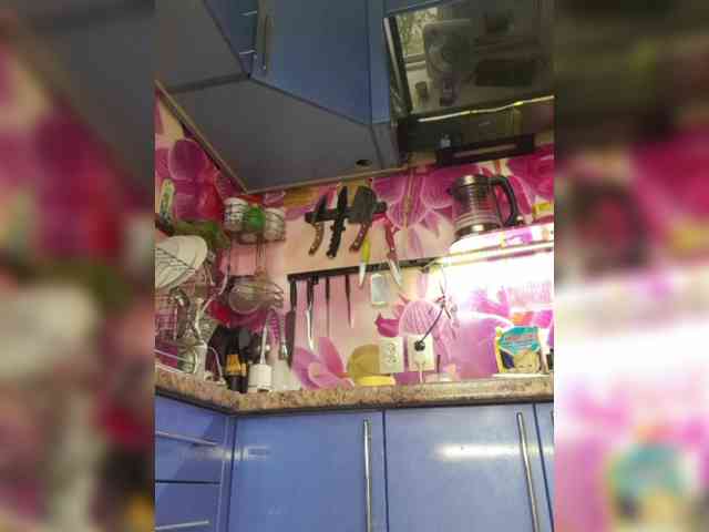 MS-86 webcam