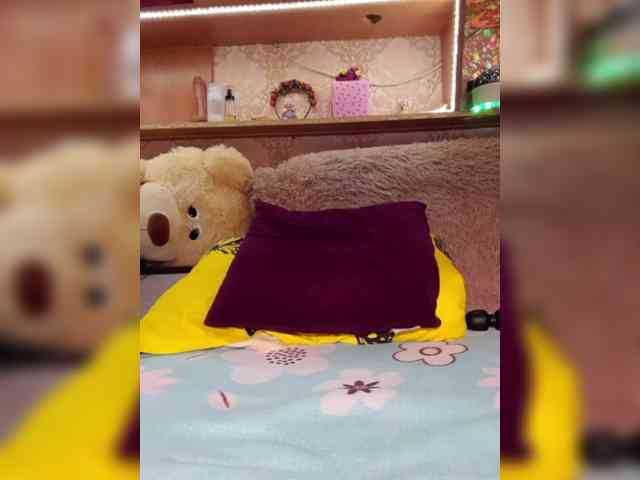 MS-86 webcam