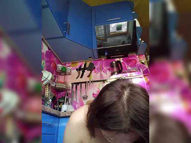 MS-86 webcam