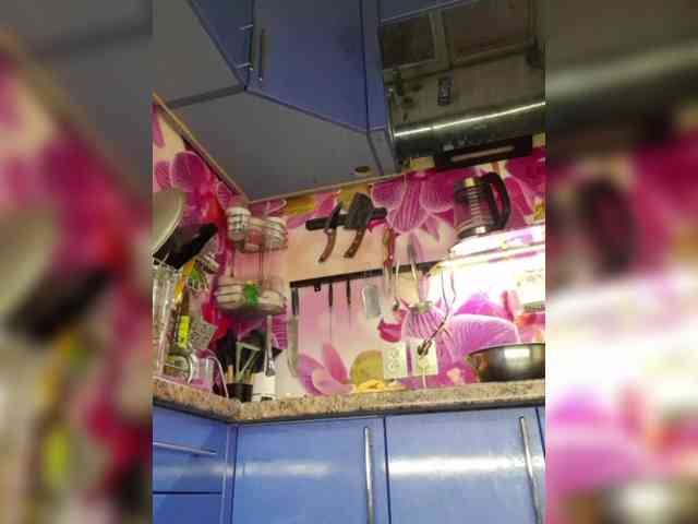 MS-86 webcam