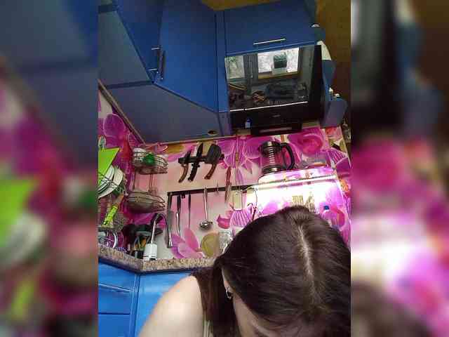 MS-86 webcam