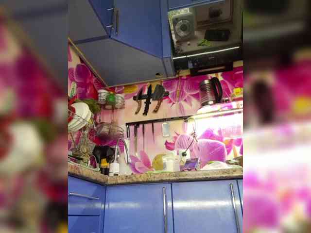 MS-86 webcam