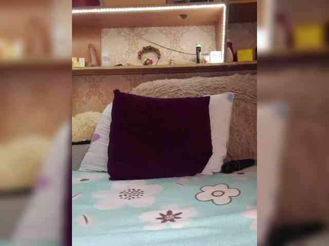 MS-86 webcam