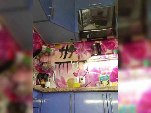 MS-86 webcam