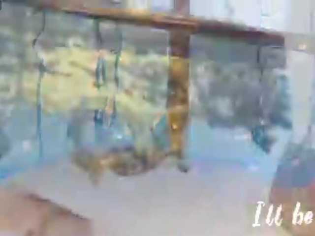 firstMaja's BongaCams show and profile