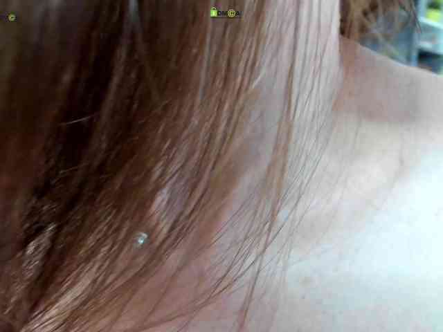 firstmaja webcam