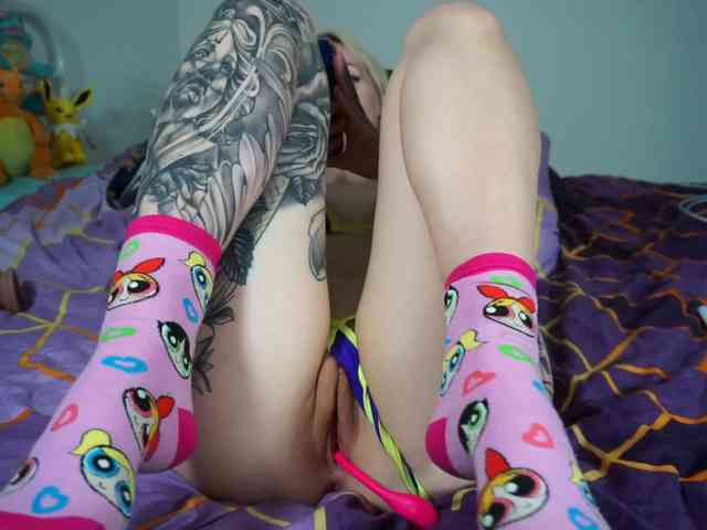 SCinderella webcam