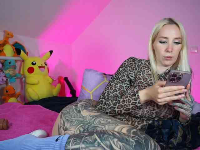 SCinderella webcam