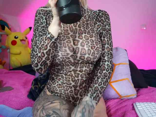 SCinderella webcam