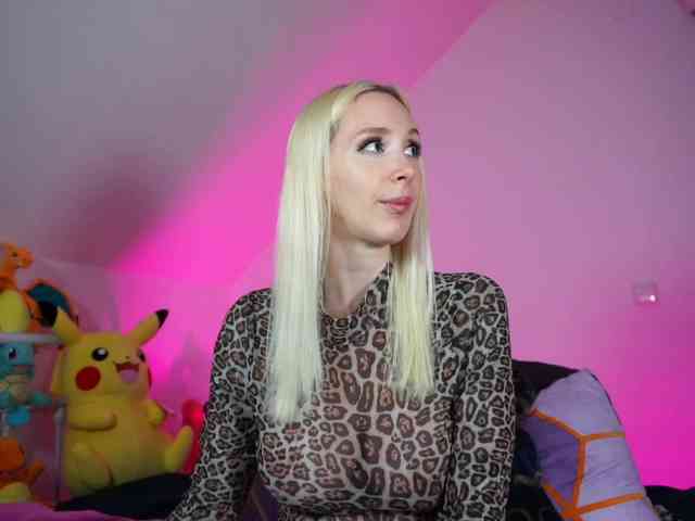 SCinderella webcam