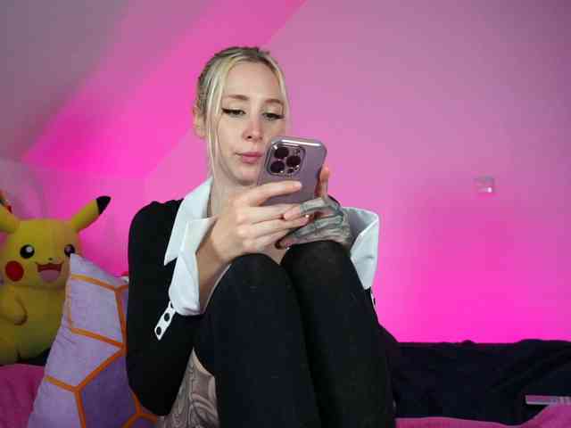 SCinderella webcam