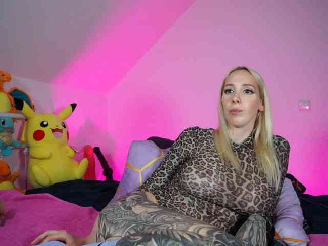 SCinderella webcam