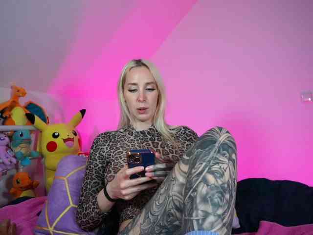 SCinderella webcam