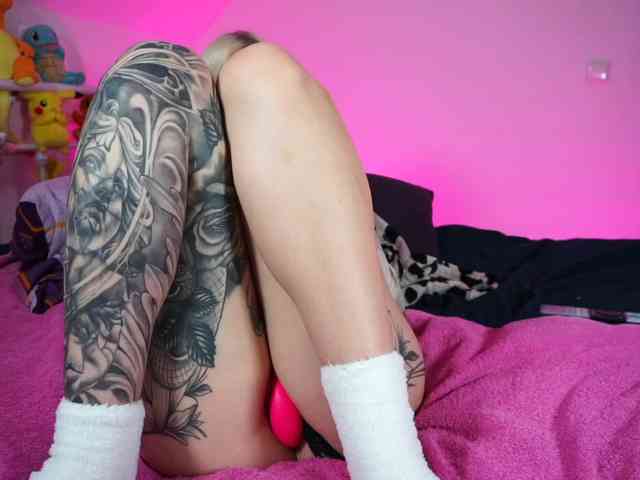 SCinderella webcam