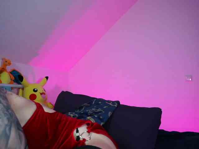 SCinderella webcam