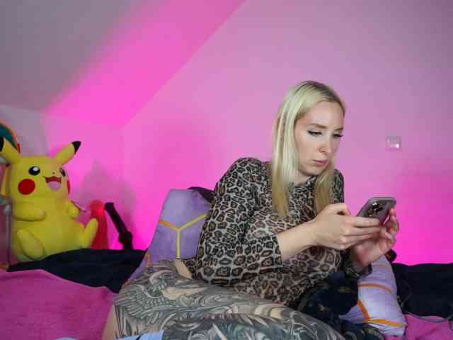 SCinderella webcam