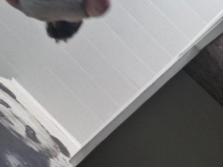 natalia1987 Porn Show