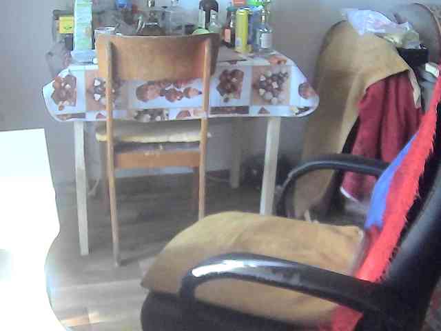 leo2008842 leo2008842
