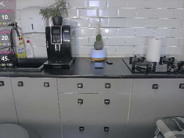 EllaSwan's BongaCams show and profile