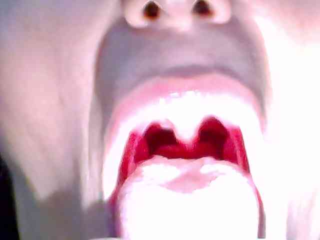 TastyShow