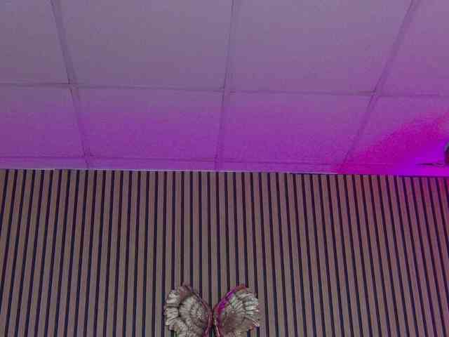 TastyShow webcam
