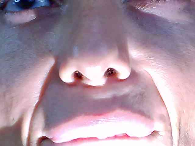 TastyShow webcam